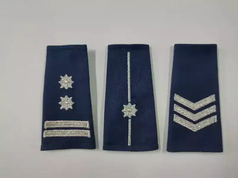 policja